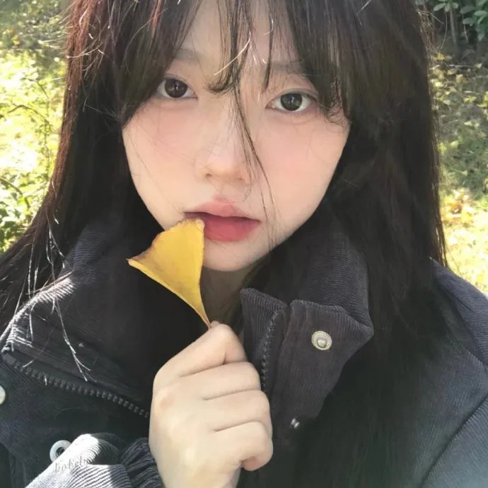 新边城浪子